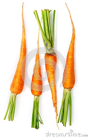 Fresh carrot fruits with green leaves Stock Photo