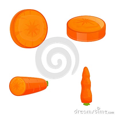 Fresh carrot icons set cartoon vector. Whole and chopped carrot Vector Illustration
