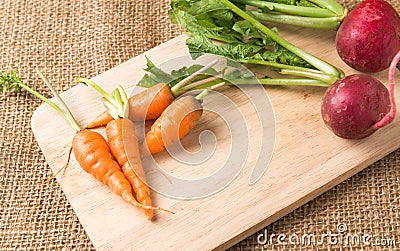 Fresh carrot and red radish Stock Photo