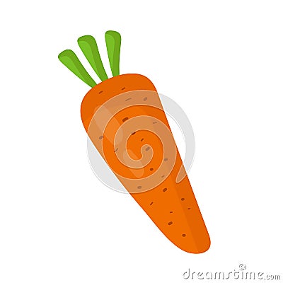 Fresh carrot. Vector flat cartoon Cartoon Illustration