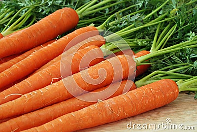 Fresh Carrots Stock Photo