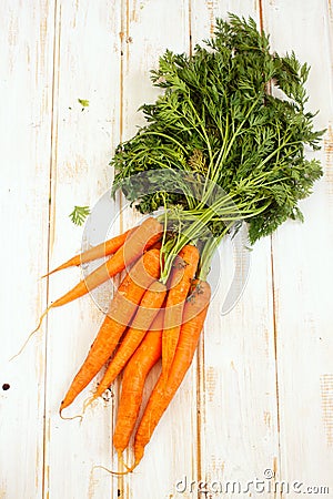 Fresh carrots with green tops Stock Photo