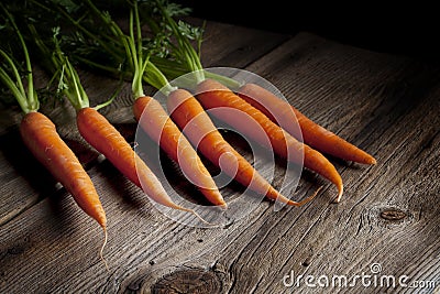 Fresh Carrots with Green Tops Stock Photo