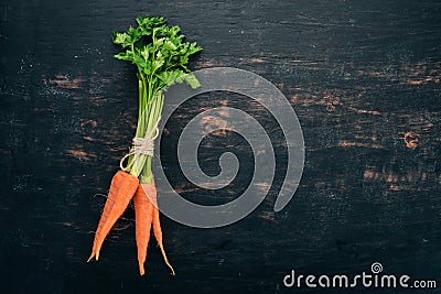 Fresh carrots. Organic food. On a black background. Stock Photo