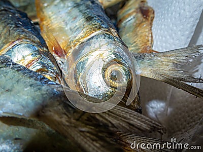 Fresh catch of fish. Fish in a bowl. Close-up picture Stock Photo