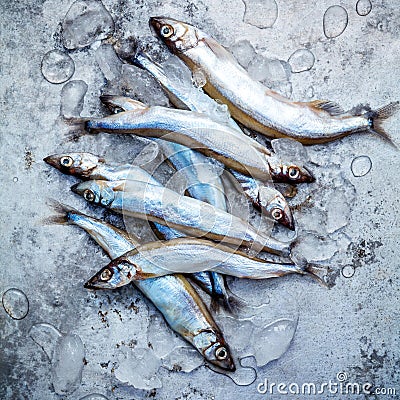 Fresh catch Shishamo fish fully eggs flat lay on shabby metal ba Stock Photo