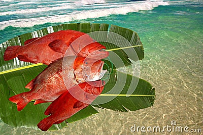 Fresh catched fishes, red snappers, banana leaves Stock Photo