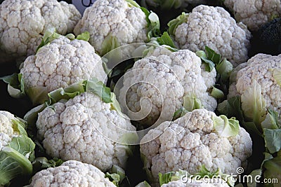 Fresh cauliflowers Stock Photo