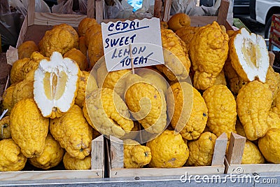 Fresh Cedri lemons sold at a local market in Sicily, Italy (translation cedri: large citrus fruit Stock Photo