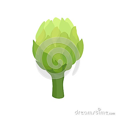Fresh celery concept. Organic food and vegetarianism. Vector Illustration