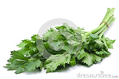 Fresh celery herb Stock Photo