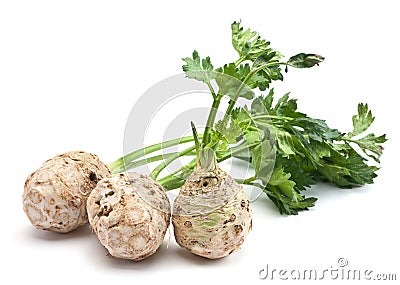 Fresh celery with root Stock Photo