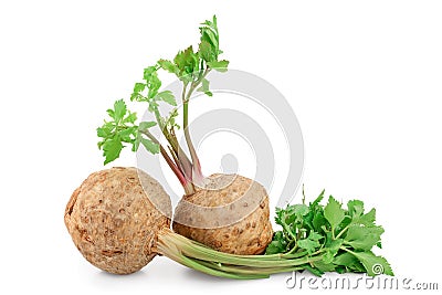 Fresh celery root with leaf isolated on white background Stock Photo