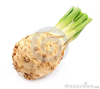 Fresh celery Stock Photo