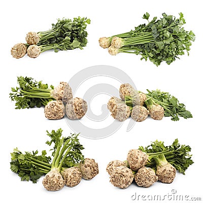 Fresh celery roots isolated on white, collage design Stock Photo