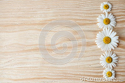 Fresh chamomile flowers on the wooden table Stock Photo