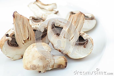 Fresh champignon mushroom Stock Photo