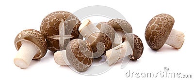 Fresh champignon mushrooms on white background. Stock Photo