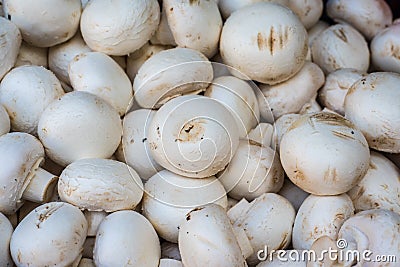 Fresh champignons in the market Stock Photo