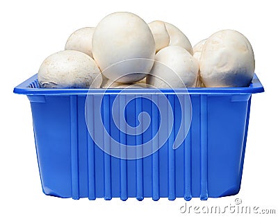 Fresh champignons in plastic packaging isolated on white background Stock Photo