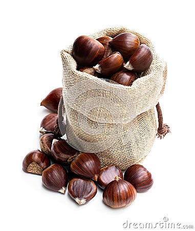 Fresh chestnut in burlap bag isolated on white Stock Photo