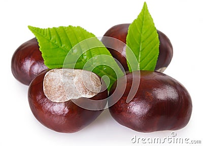 Fresh chestnut with leaf on white background Stock Photo