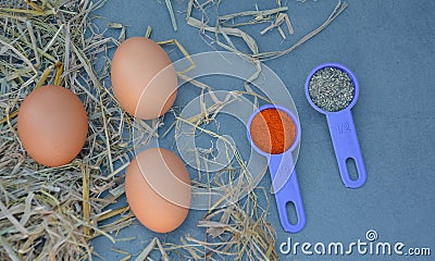 Fresh Chicken Egg On Wooden Background Stock Photo