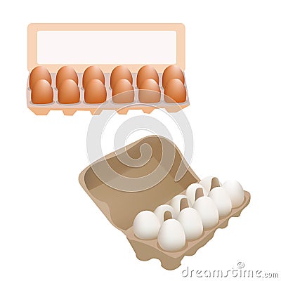 Fresh Chicken Eggs In Box Package isolated On White Background Vector Illustration Icon Vector Illustration