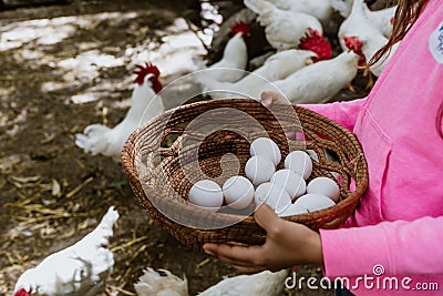 Fresh chicken eggs in a wicker basket, which Latin child farmers collect from chicken farms in Mexico Latin America Stock Photo