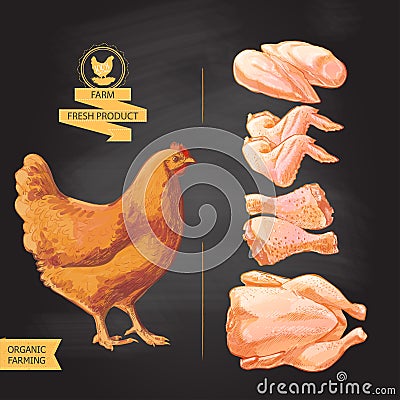 Fresh chicken meat Vector Illustration