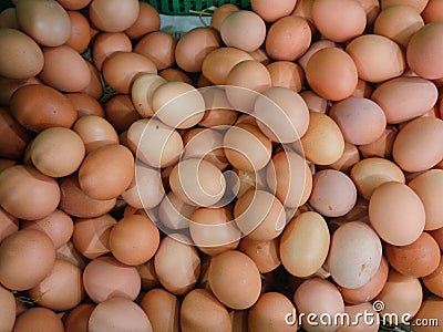 Fresh Chicken Rooster Eggs on Hay at Local Farmer Market Editorial Stock Photo