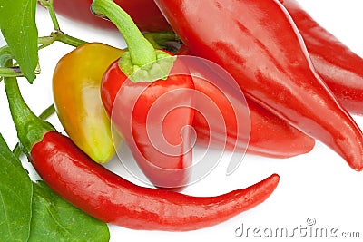 Fresh chilli peppers Stock Photo