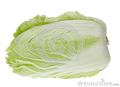 Fresh chinese cabbage Stock Photo