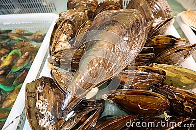 Fresh chinese clams in market Stock Photo