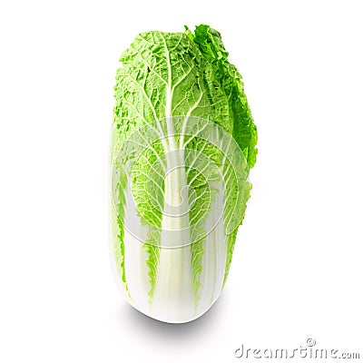 Fresh chinese napa cabbage isolated on white background Stock Photo