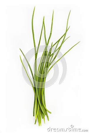 Fresh chives bunch Stock Photo