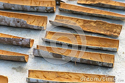 Fresh Cinnamon sticks drying in the midday sun Stock Photo