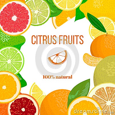 Fresh Citrus fruits ornament for postcard, greetings, wish card Vector Illustration