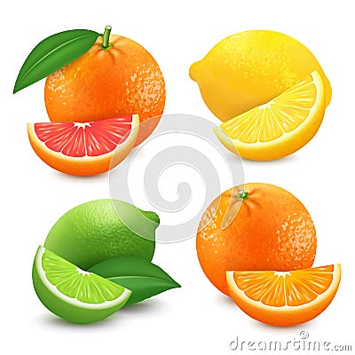 Fresh citrus fruits set. Orange grapefruit lemon lime isolated vector illustration. 3d realistic vector Vector Illustration