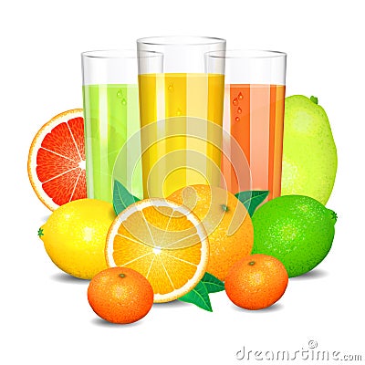 Fresh citrus juice and fruits. Citrus fruits Vector Illustration