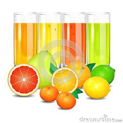 Fresh citrus juice and fruits. Citrus fruits Vector Illustration