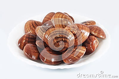 Fresh clams Stock Photo