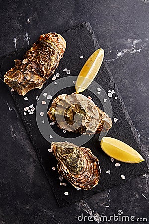 Fresh closed oysters with lemon on slate plate Stock Photo