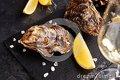 Fresh closed oysters with lemon on slate plate Stock Photo
