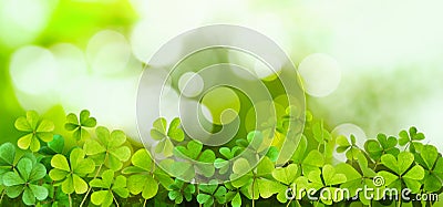 Fresh clover leaves on green background, banner design. St. Patrick`s Day celebration Stock Photo