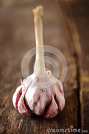 Fresh cloves of aromatic garlic Stock Photo