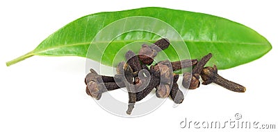 Fresh cloves with green clove leaf Stock Photo