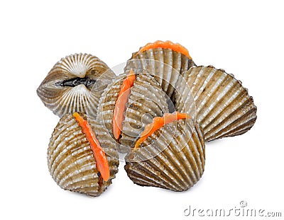 Fresh cockles seafood isolated on white background Stock Photo