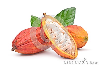 Fresh cocoa fruits with half sliced Stock Photo