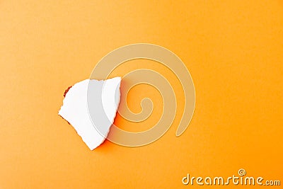 Fresh coconut group pieces slices Stock Photo